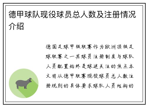德甲球队现役球员总人数及注册情况介绍