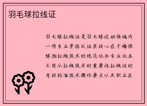 羽毛球拉线证