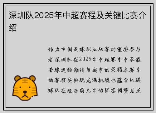深圳队2025年中超赛程及关键比赛介绍